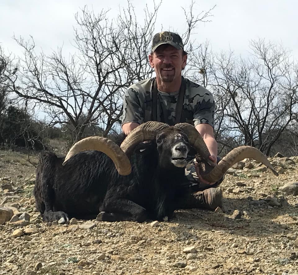 Trophy Ram Hunts Texas