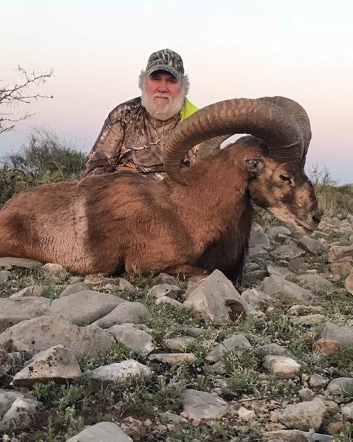 Trophy Ram Hunts Texas