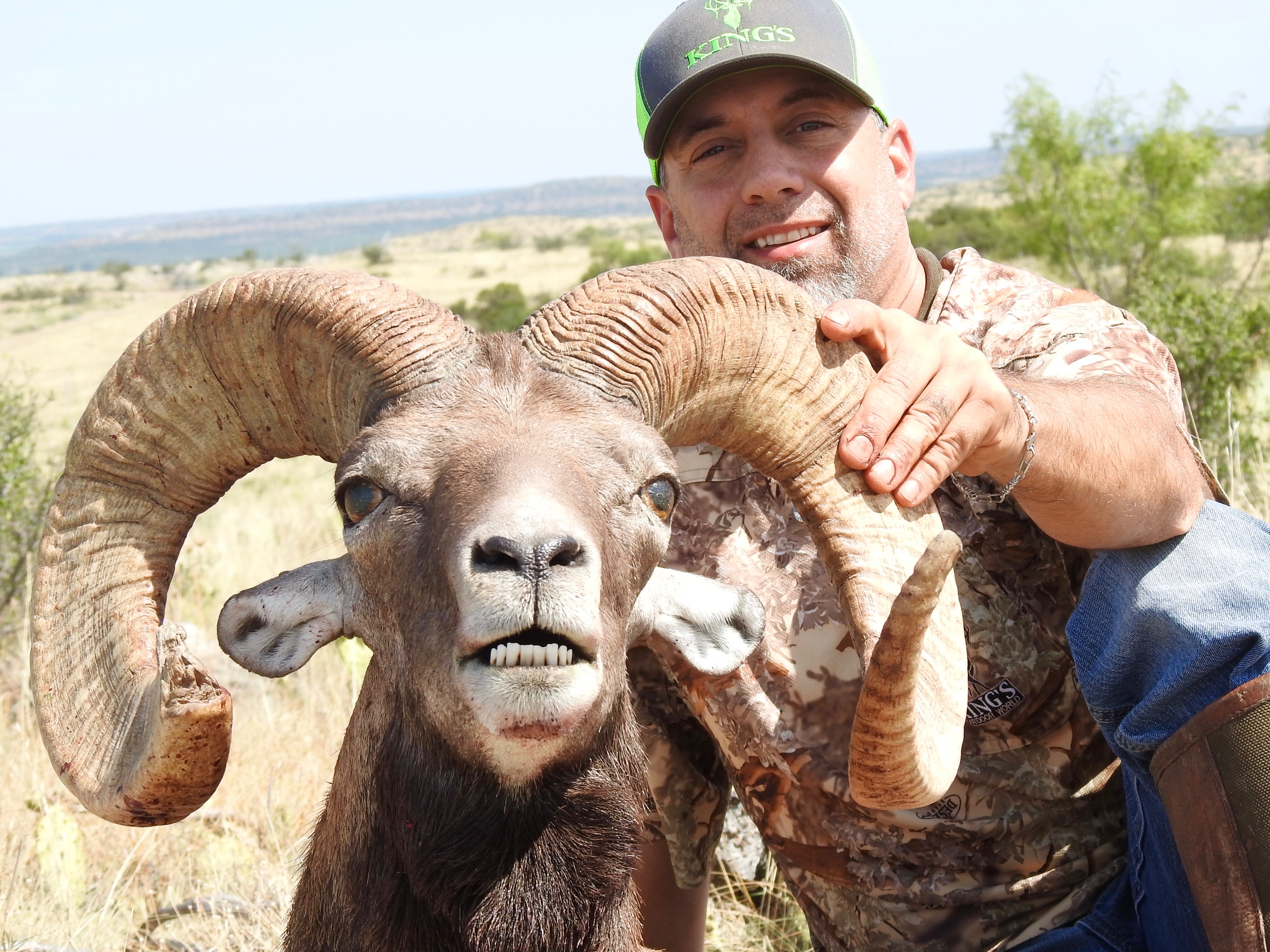 Trophy Ram Hunts Texas