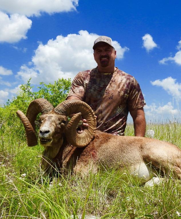 Trophy Ram Hunts Texas