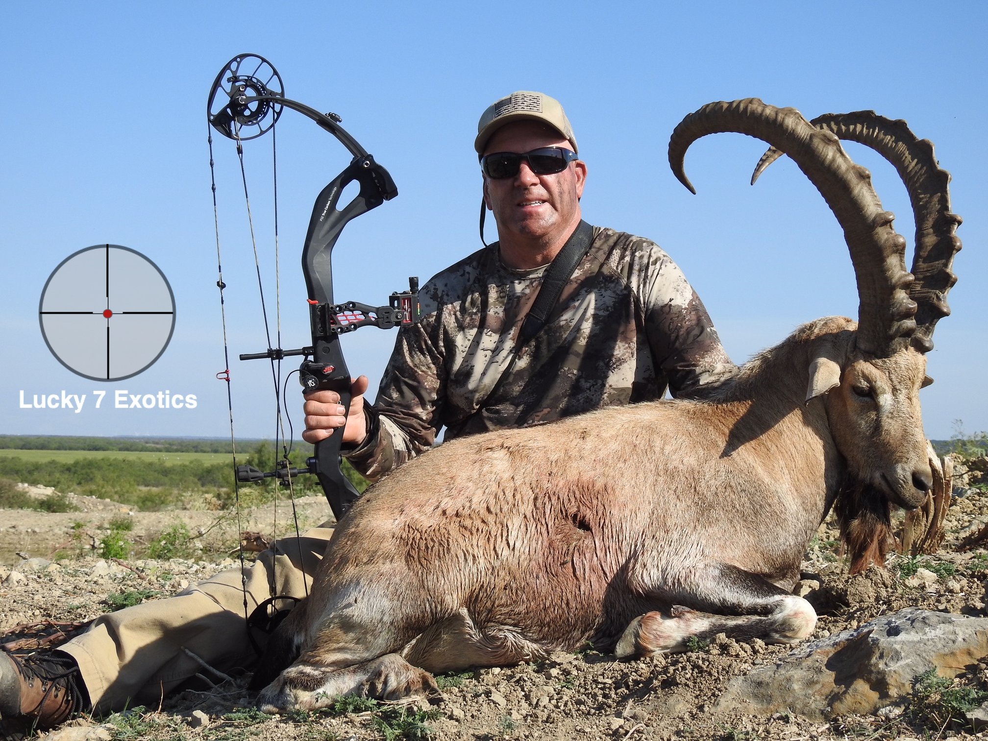 Ibex Hunts Texas