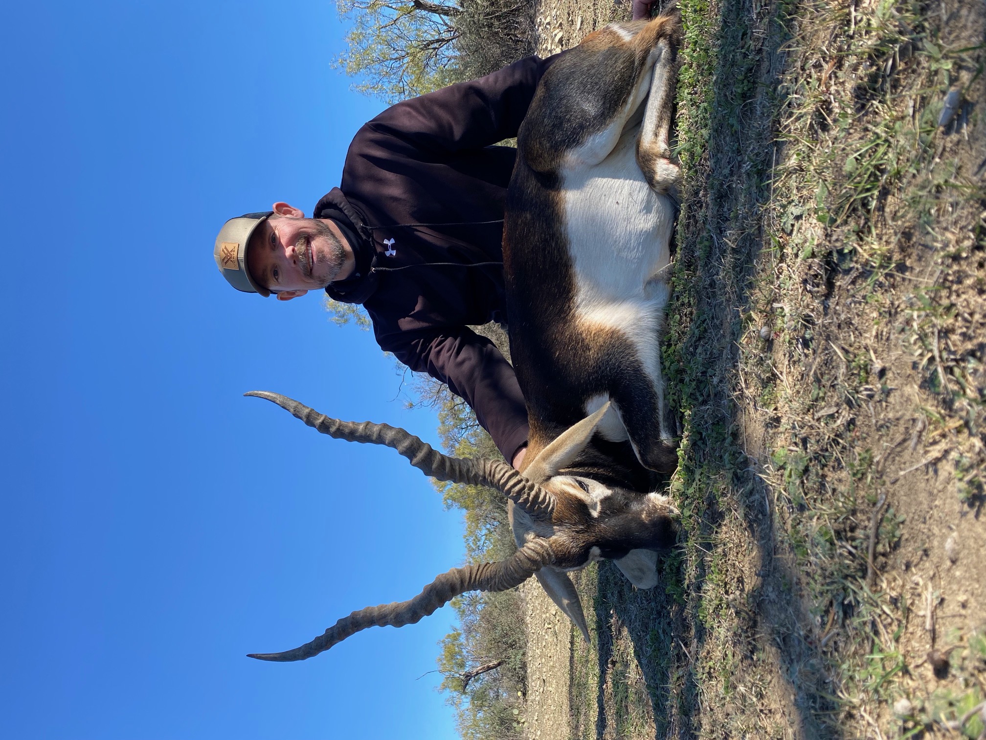 Blackbuck Hunts Texas