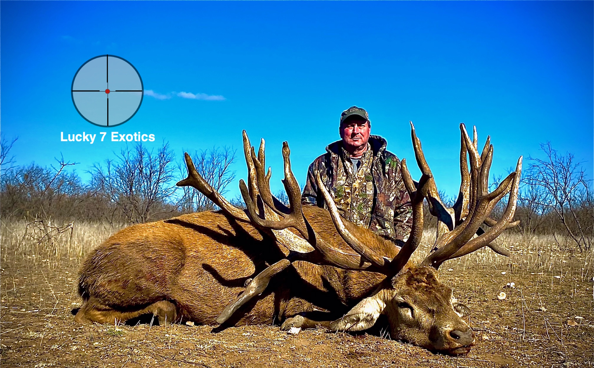 Red Stag Hunts Texas