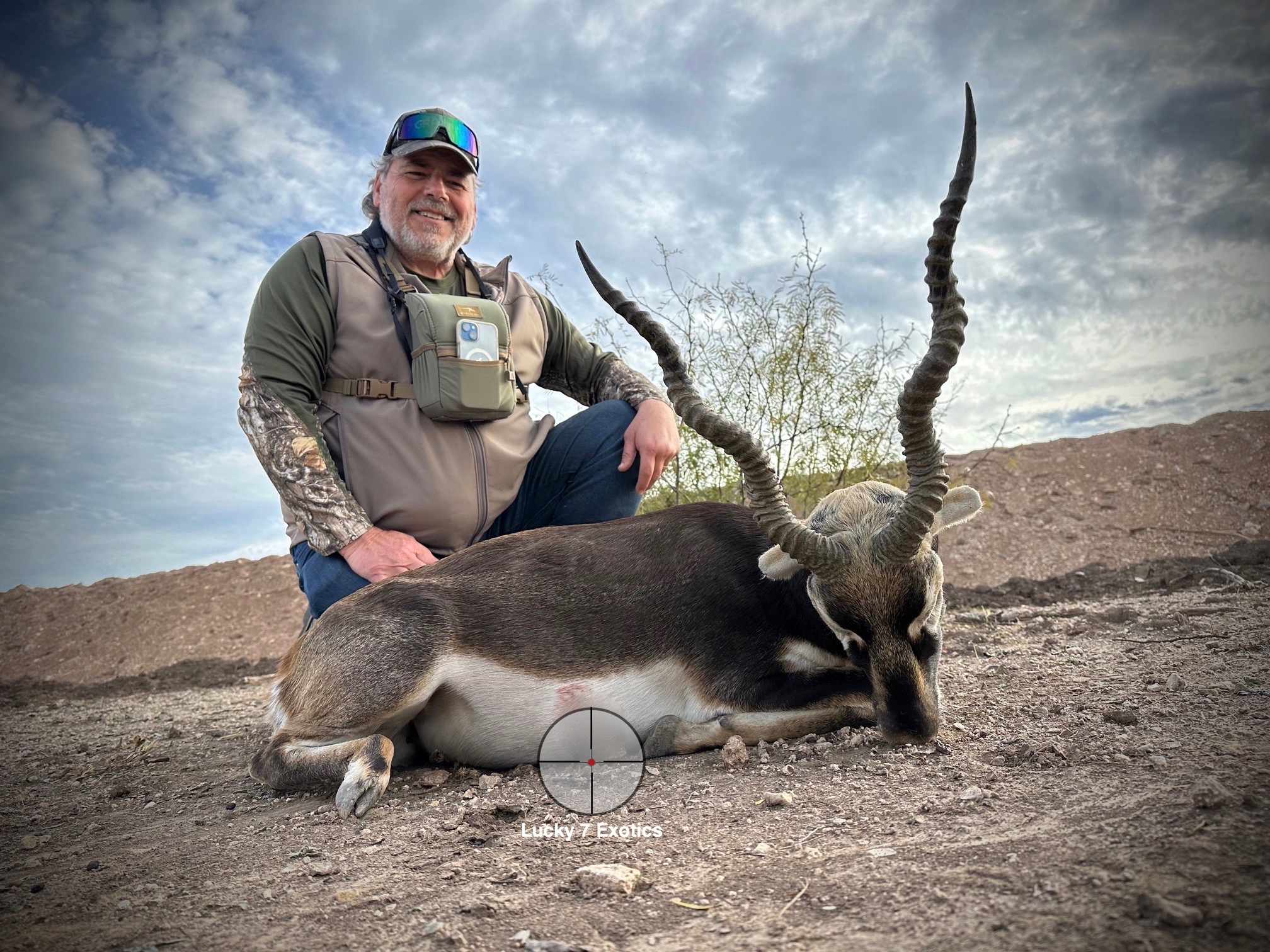 Blackbuck Hunts Texas