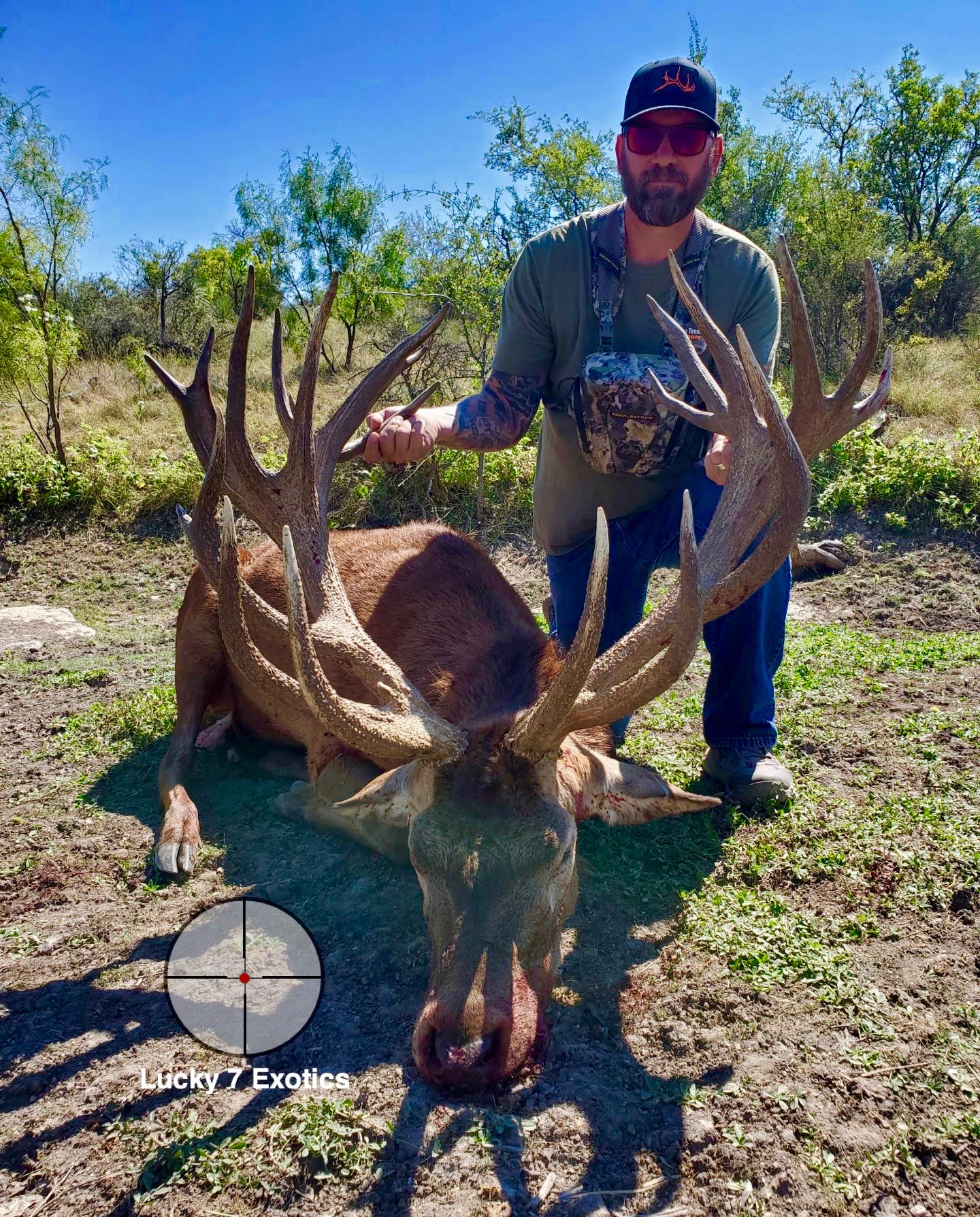 Red Stag Hunts Lucky Exotic Ranch Texas Best