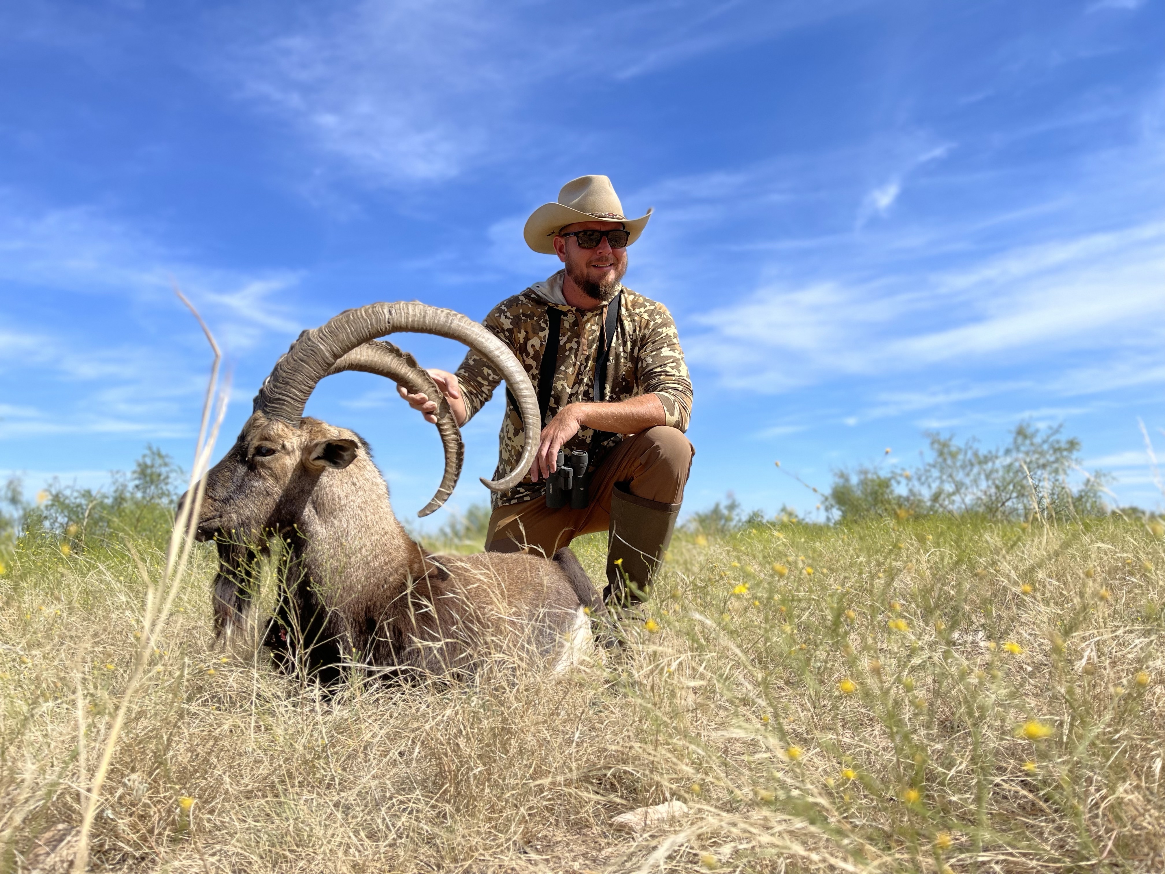 Ibex Hunts Texas