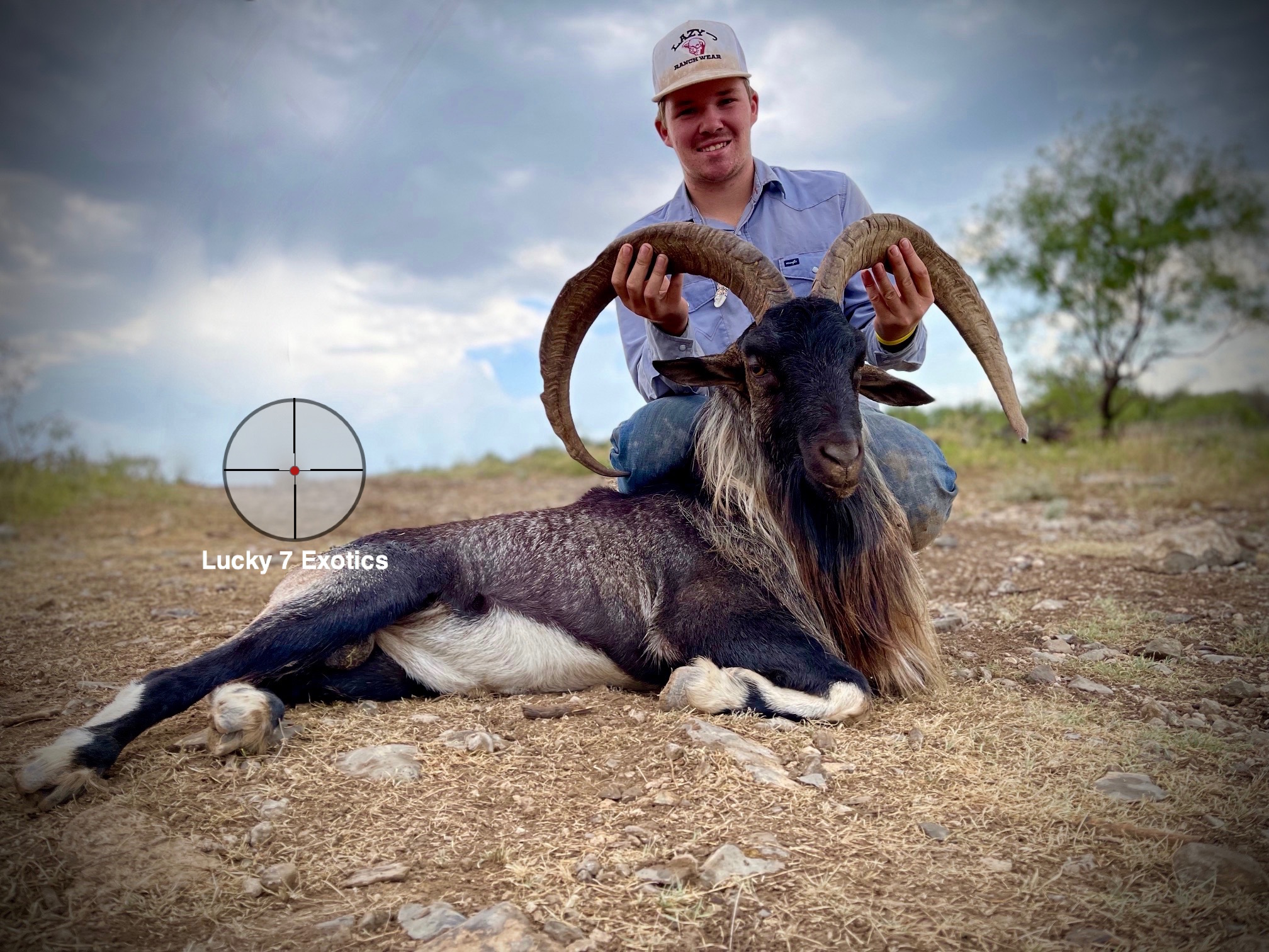 Ibex Hunts Texas