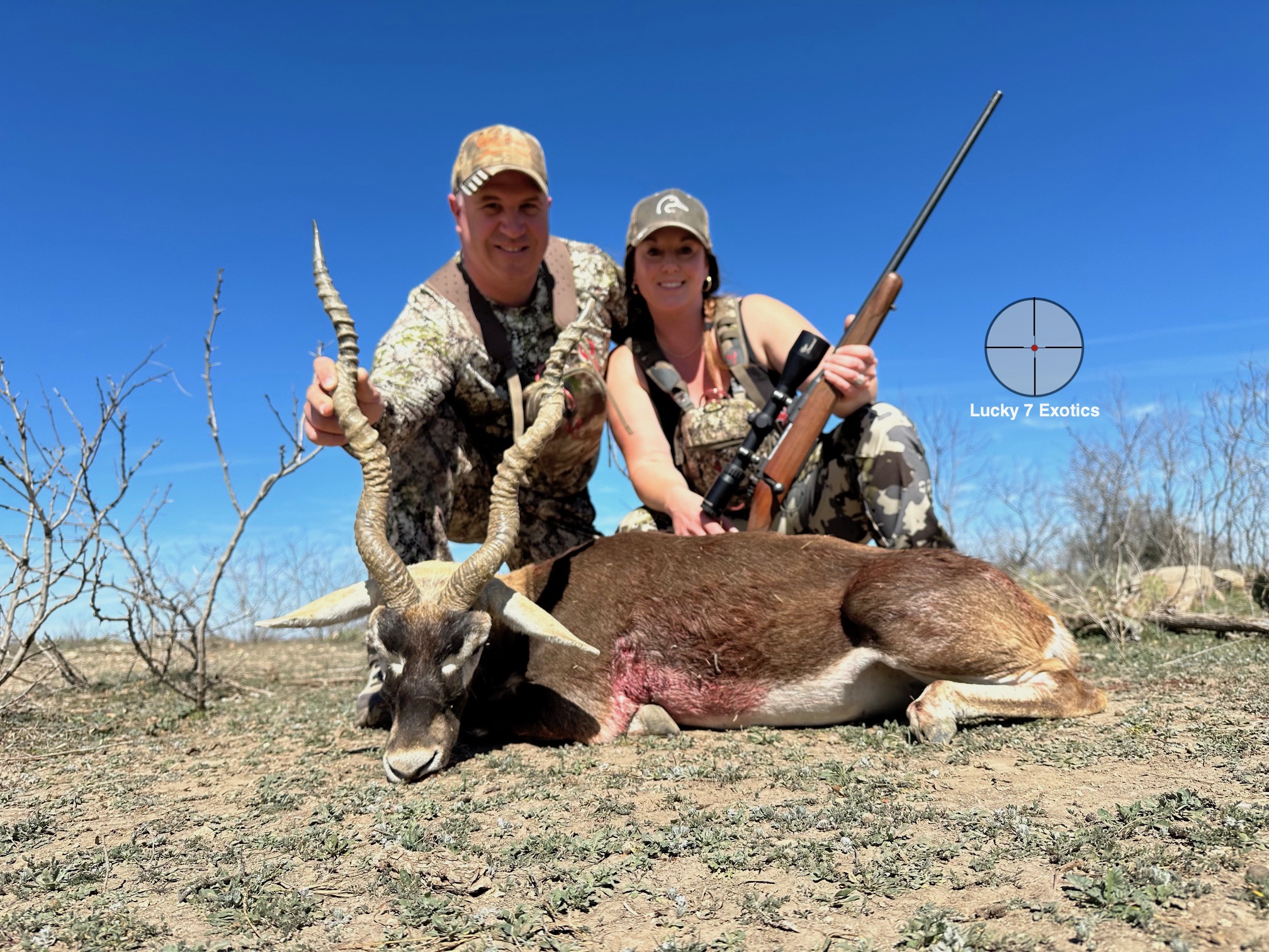 Blackbuck Hunts Texas