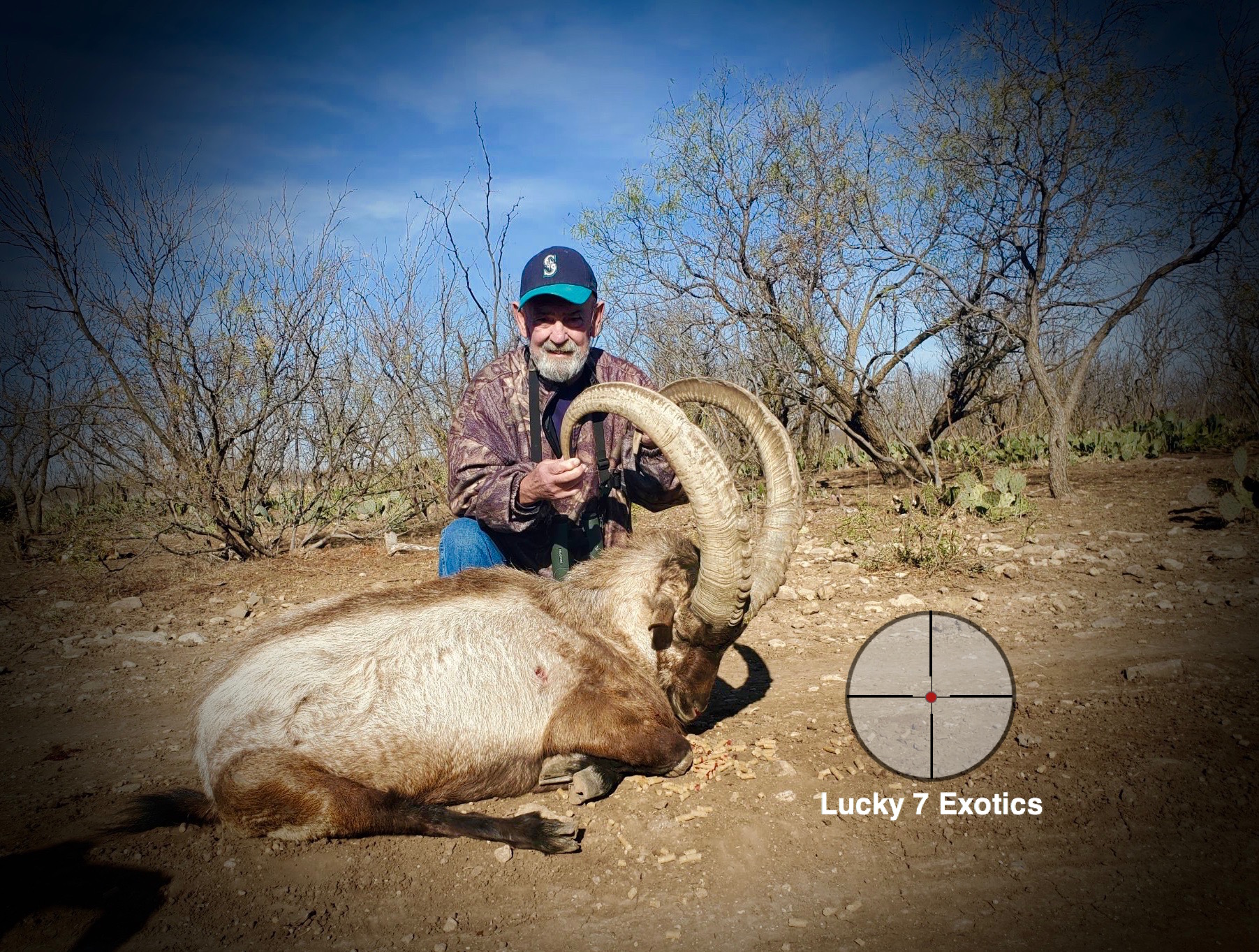Ibex Hunts Texas