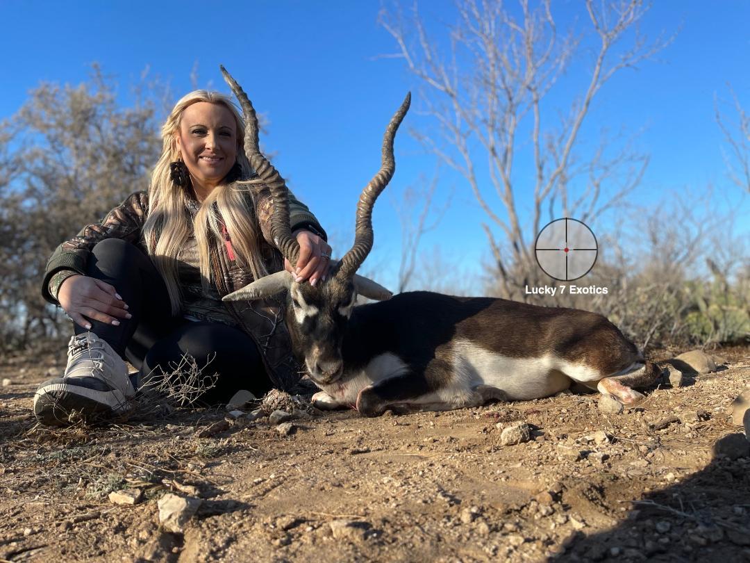 Blackbuck Hunts Texas