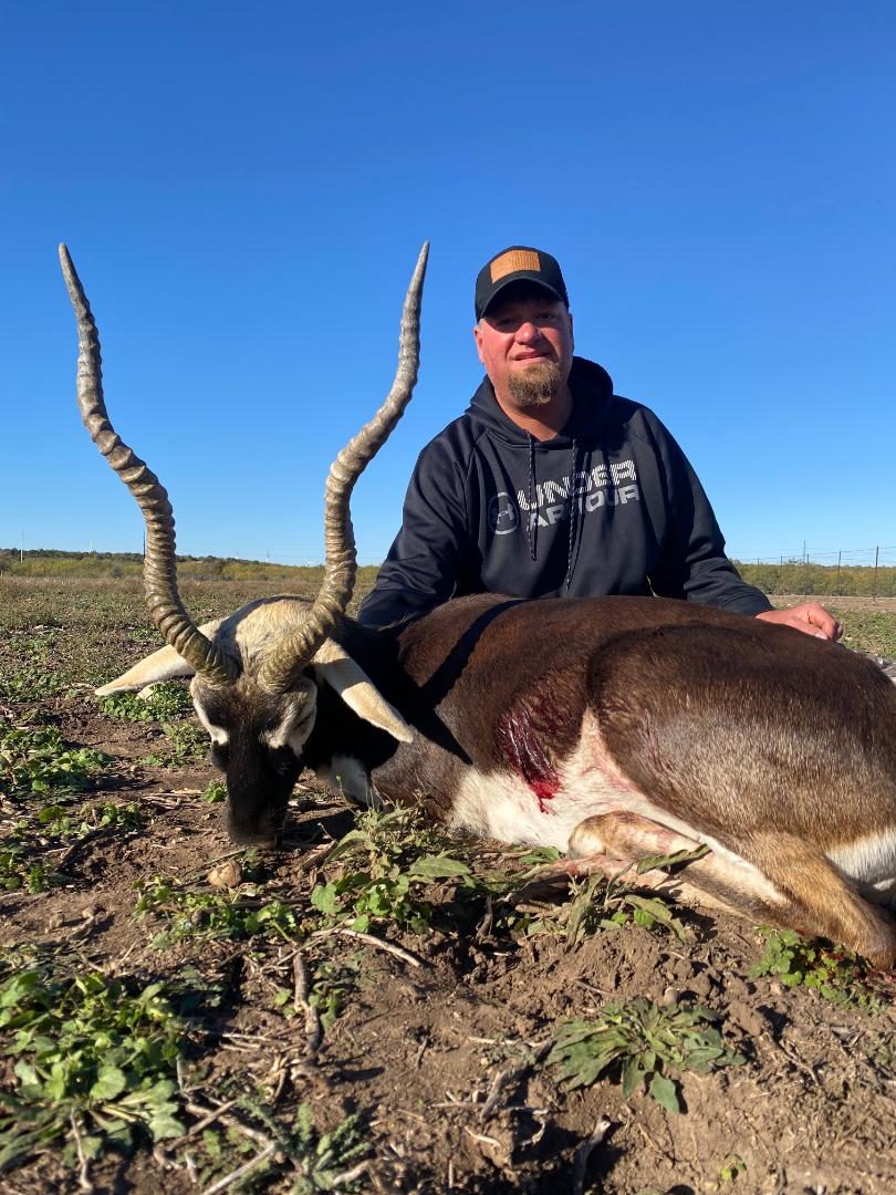 Blackbuck Hunts Texas