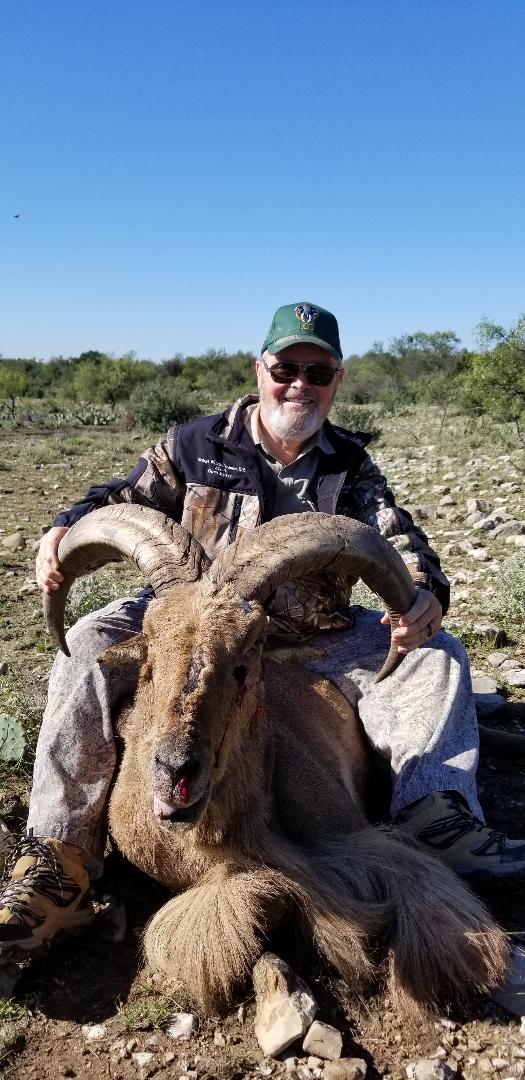 Aoudad Hunts