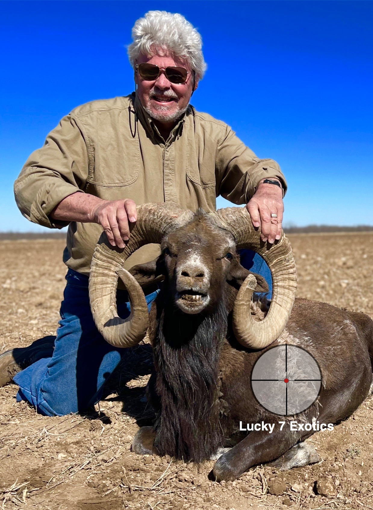 Trophy Ram Hunts Texas