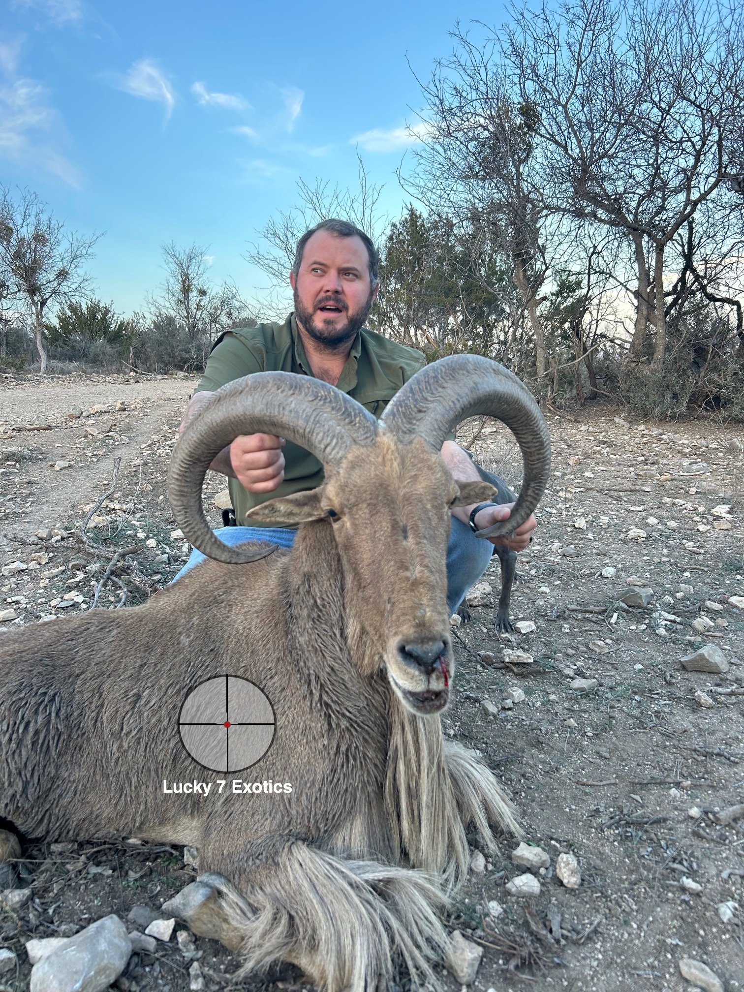 Aoudad Hunts