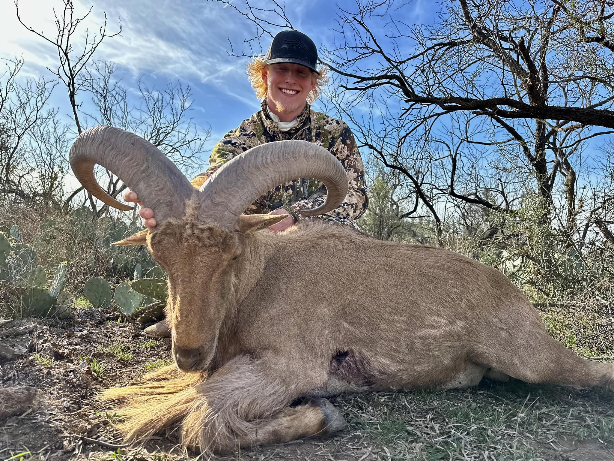 Aoudad Hunts