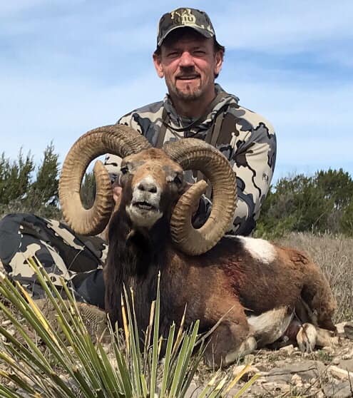 Trophy Ram Hunts Texas