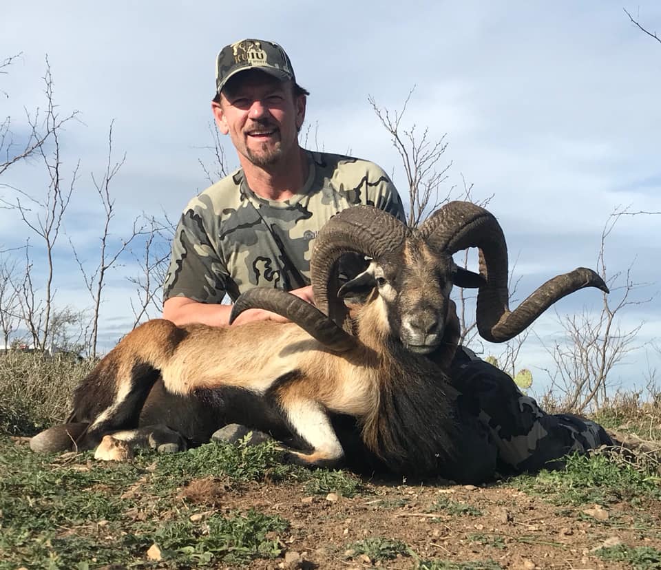 Trophy Ram Hunts Texas