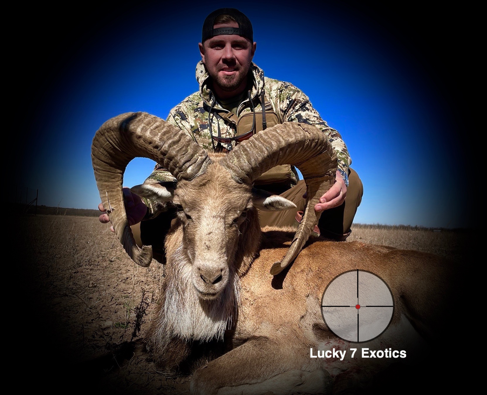 Trophy Ram Hunts Texas