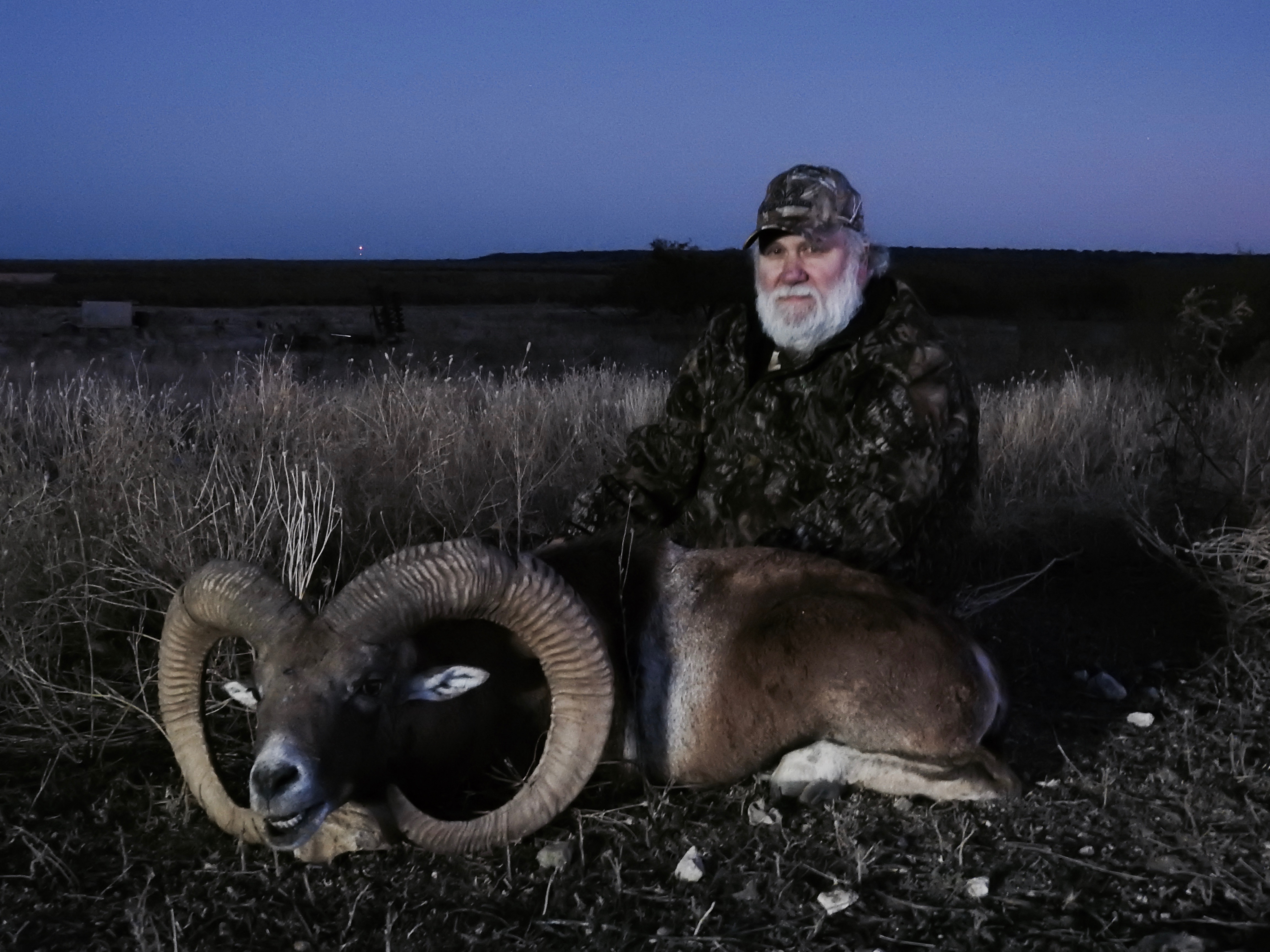 Trophy Ram Hunts Texas