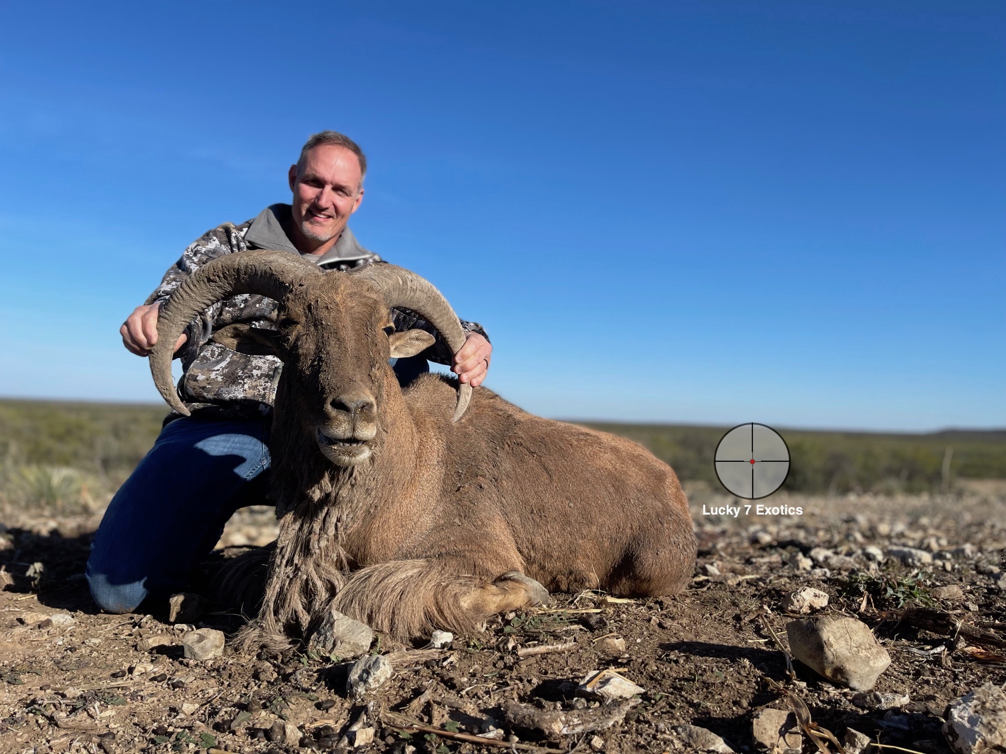 Aoudad Hunts