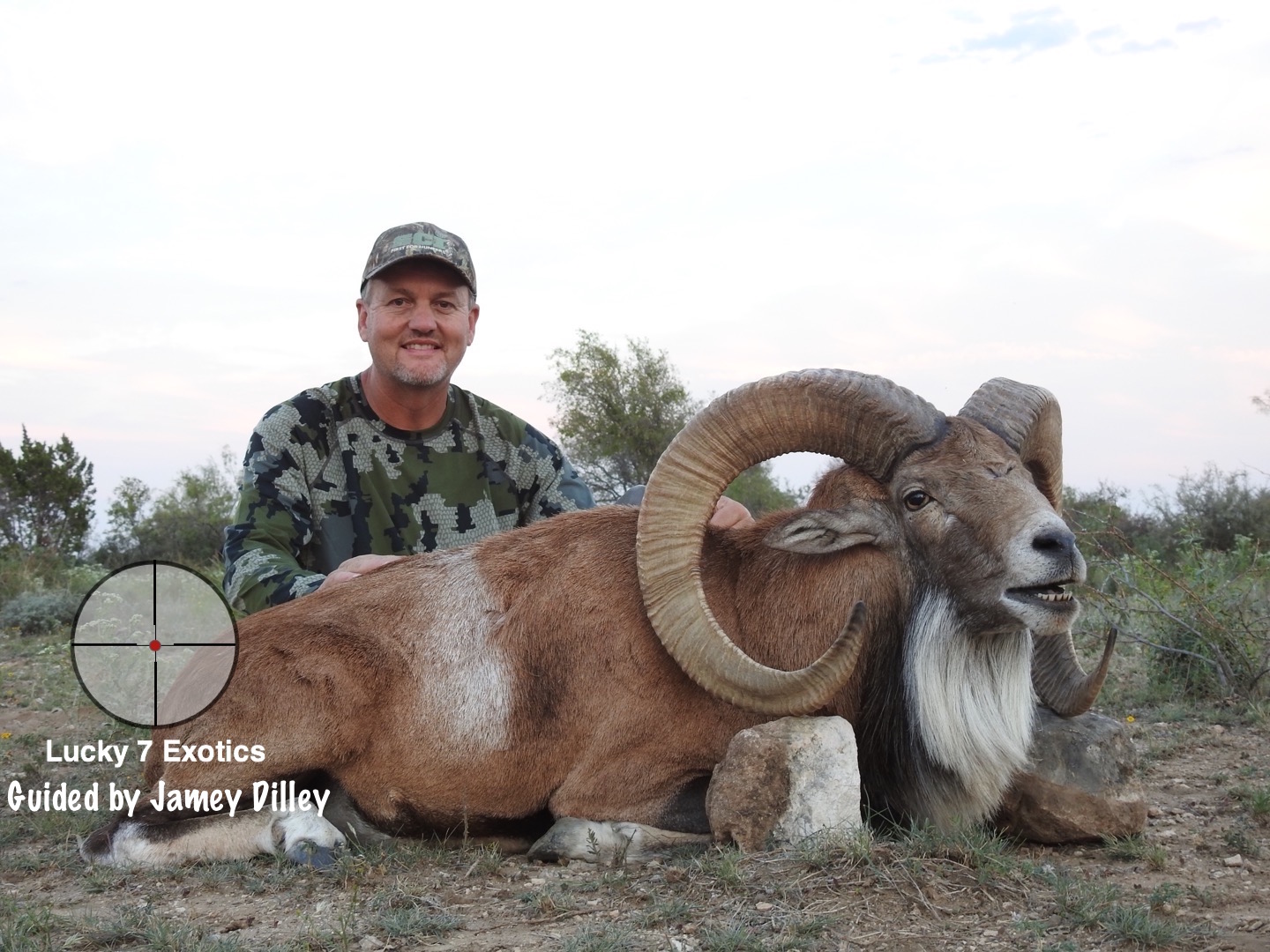 Trophy Ram Hunts Texas