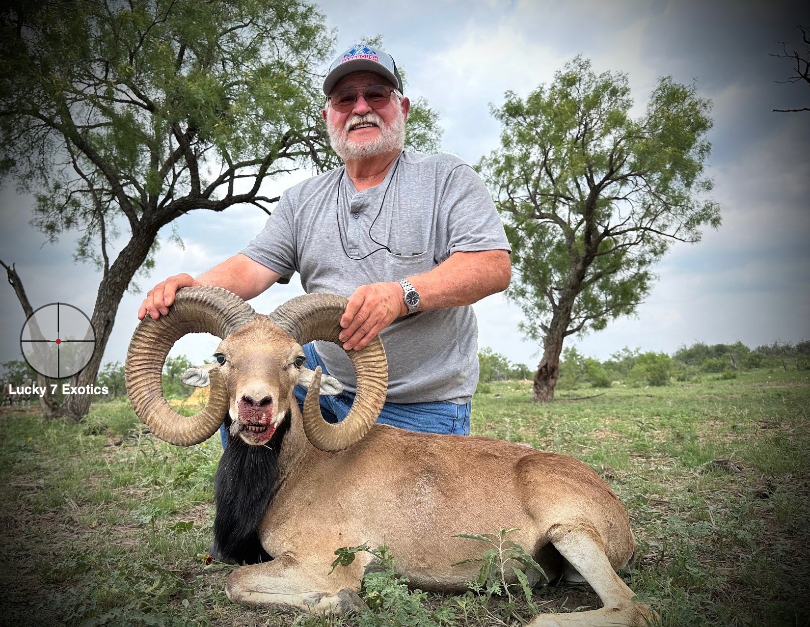 Trophy Ram Hunts Texas