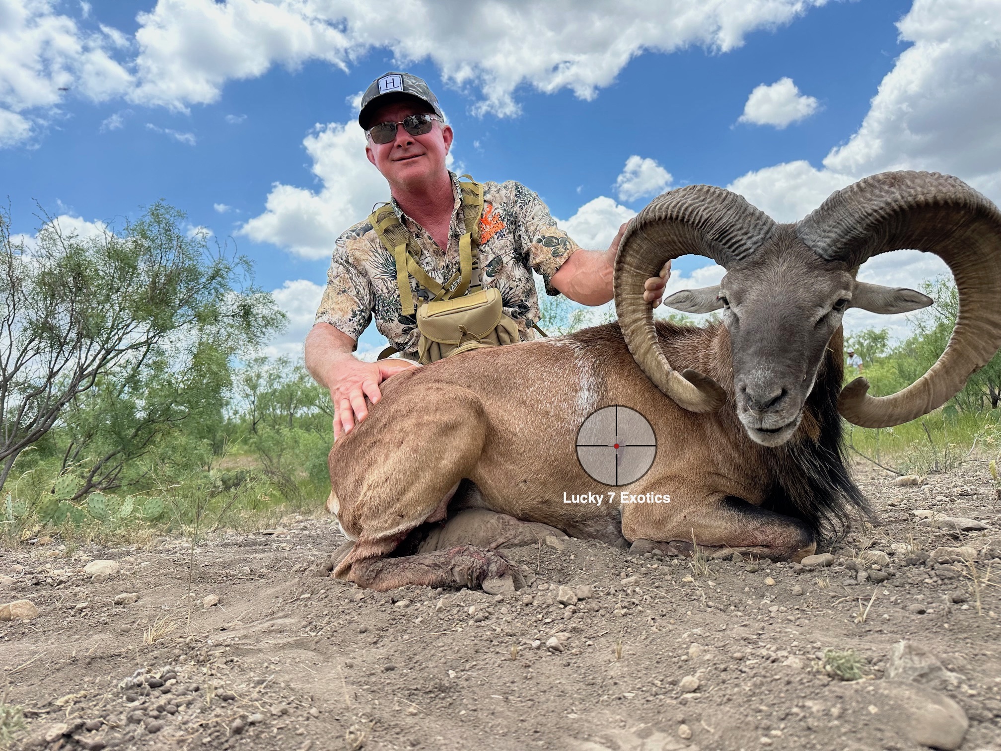 Trophy Ram Hunts Texas