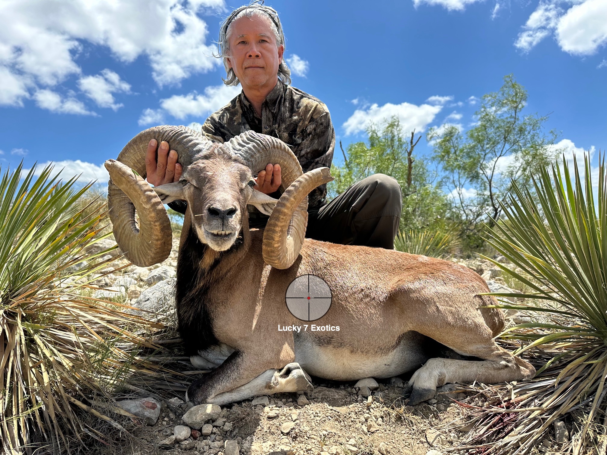 Trophy Ram Hunts Texas