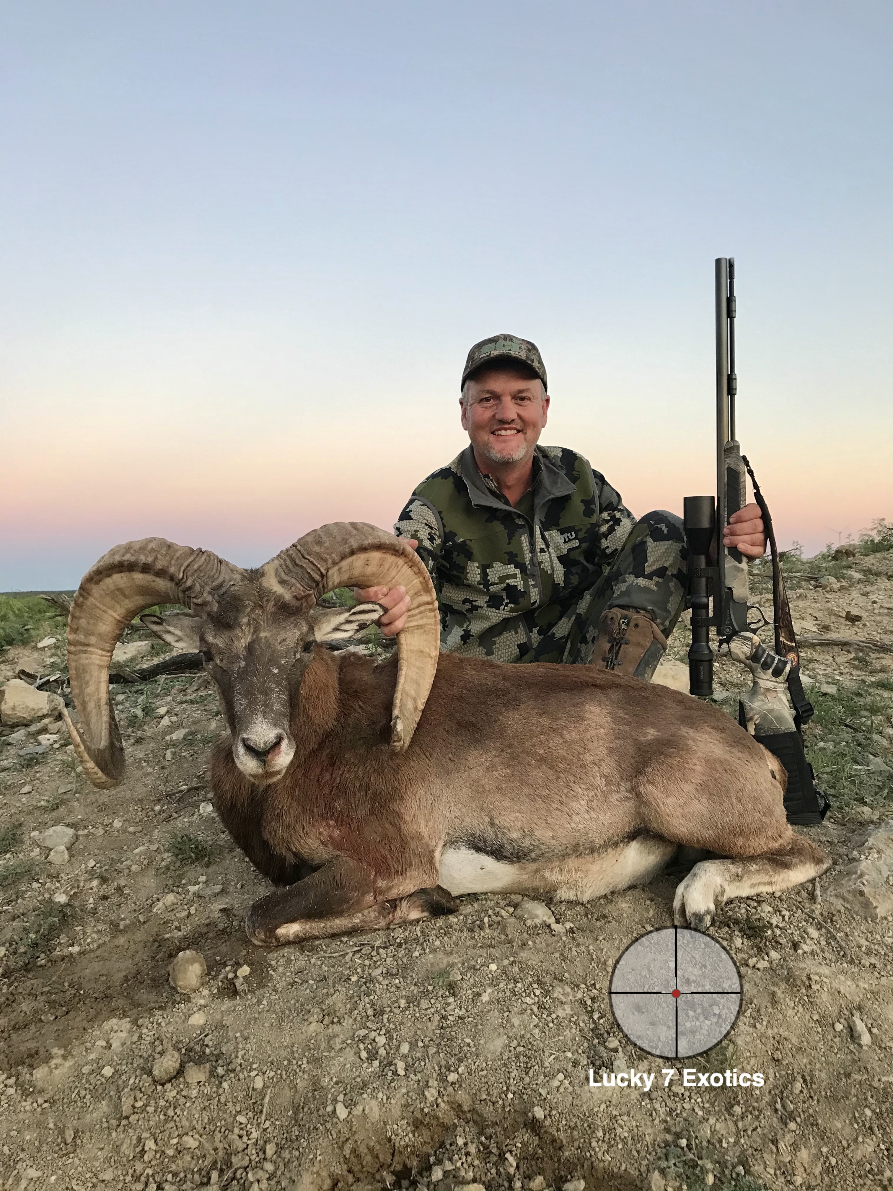 Trophy Ram Hunts Texas