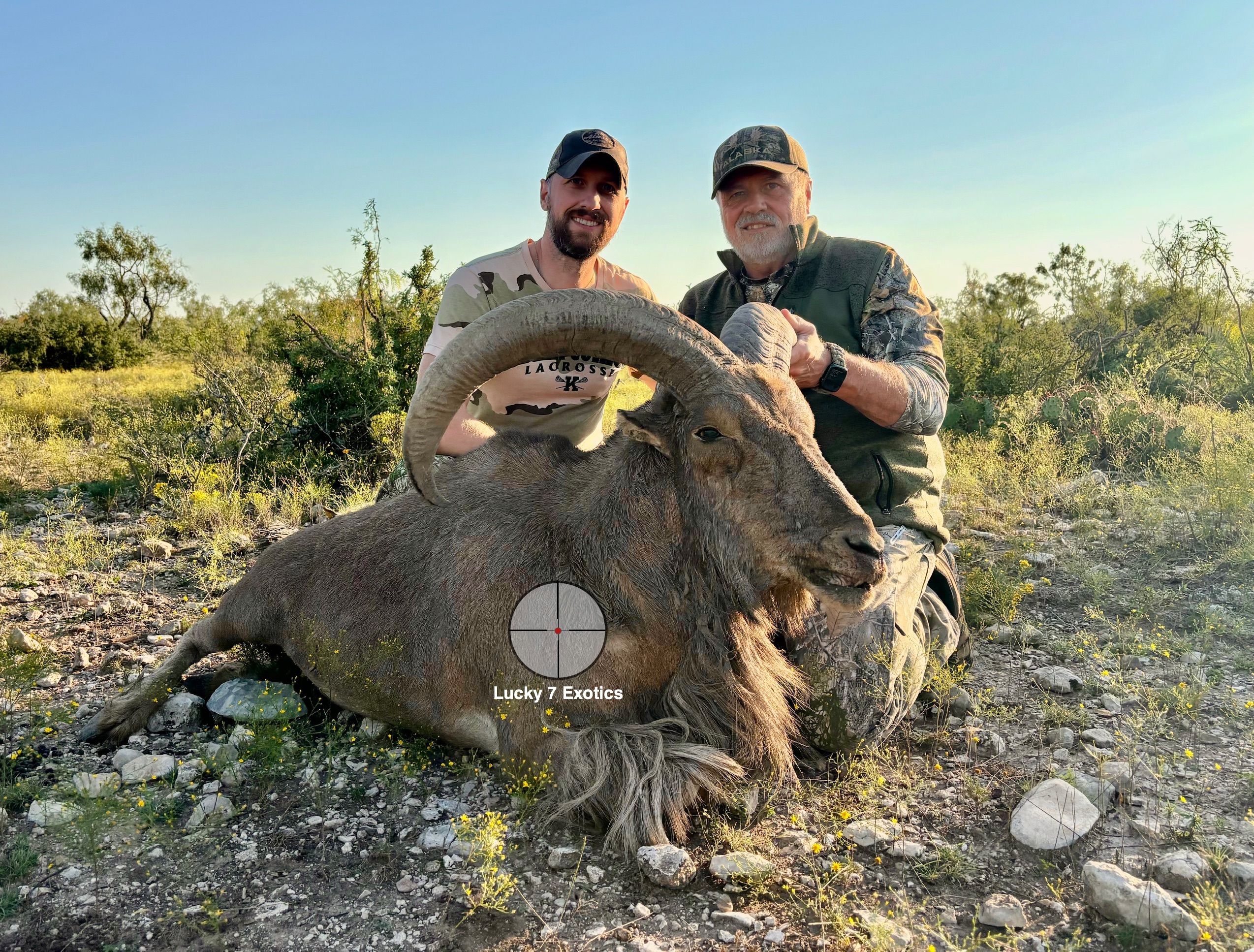 Aoudad Hunts