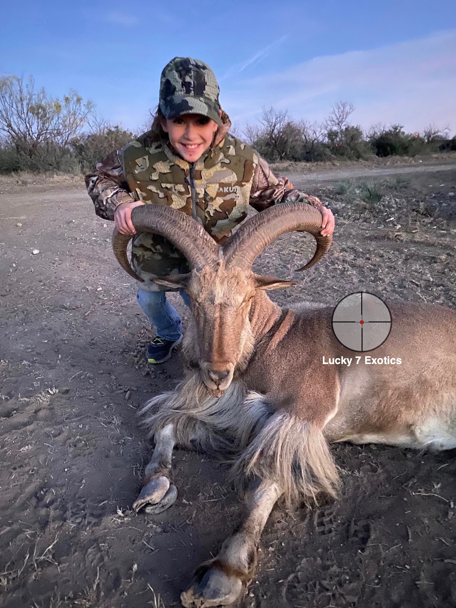 Aoudad Hunts