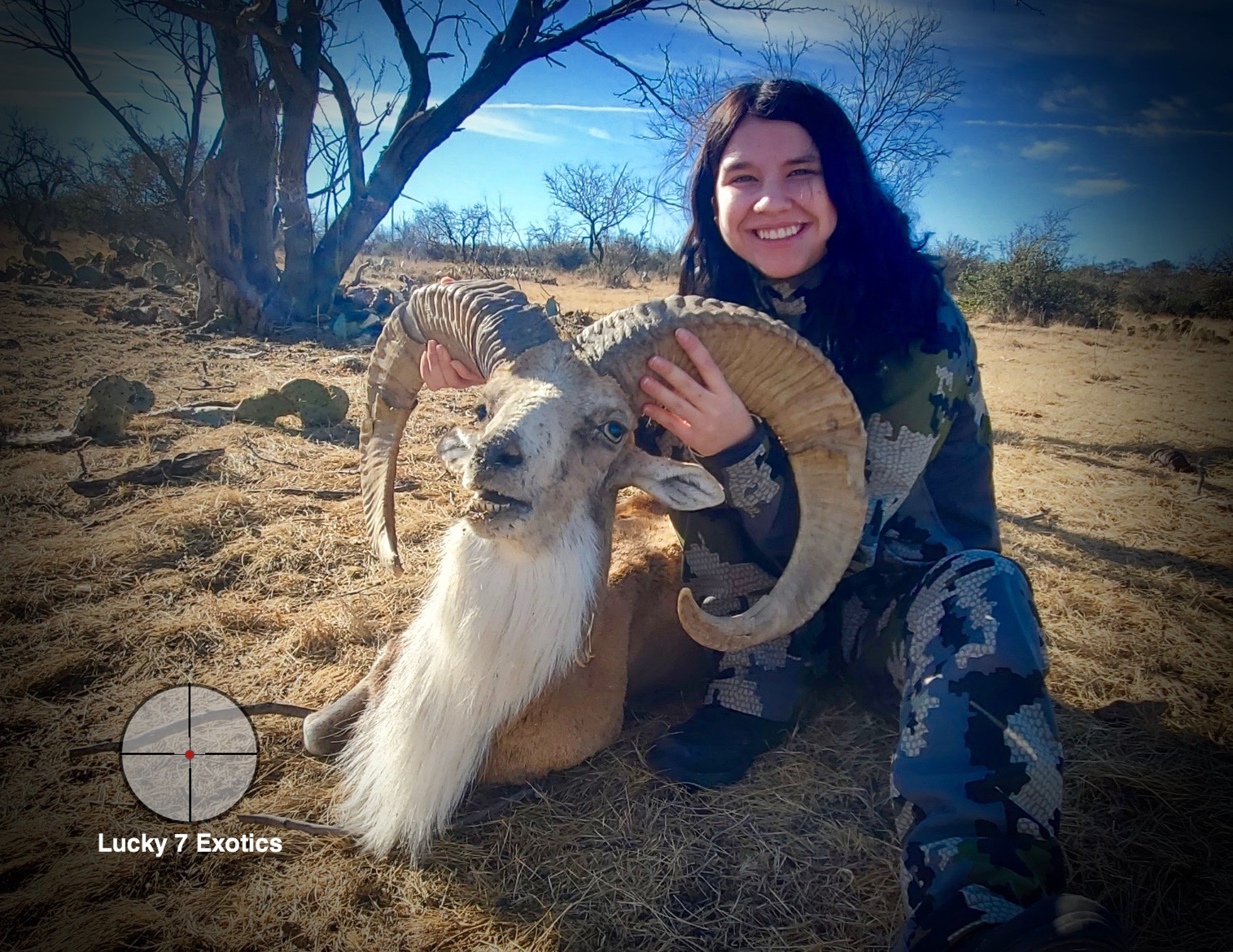 Trophy Ram Hunts Texas