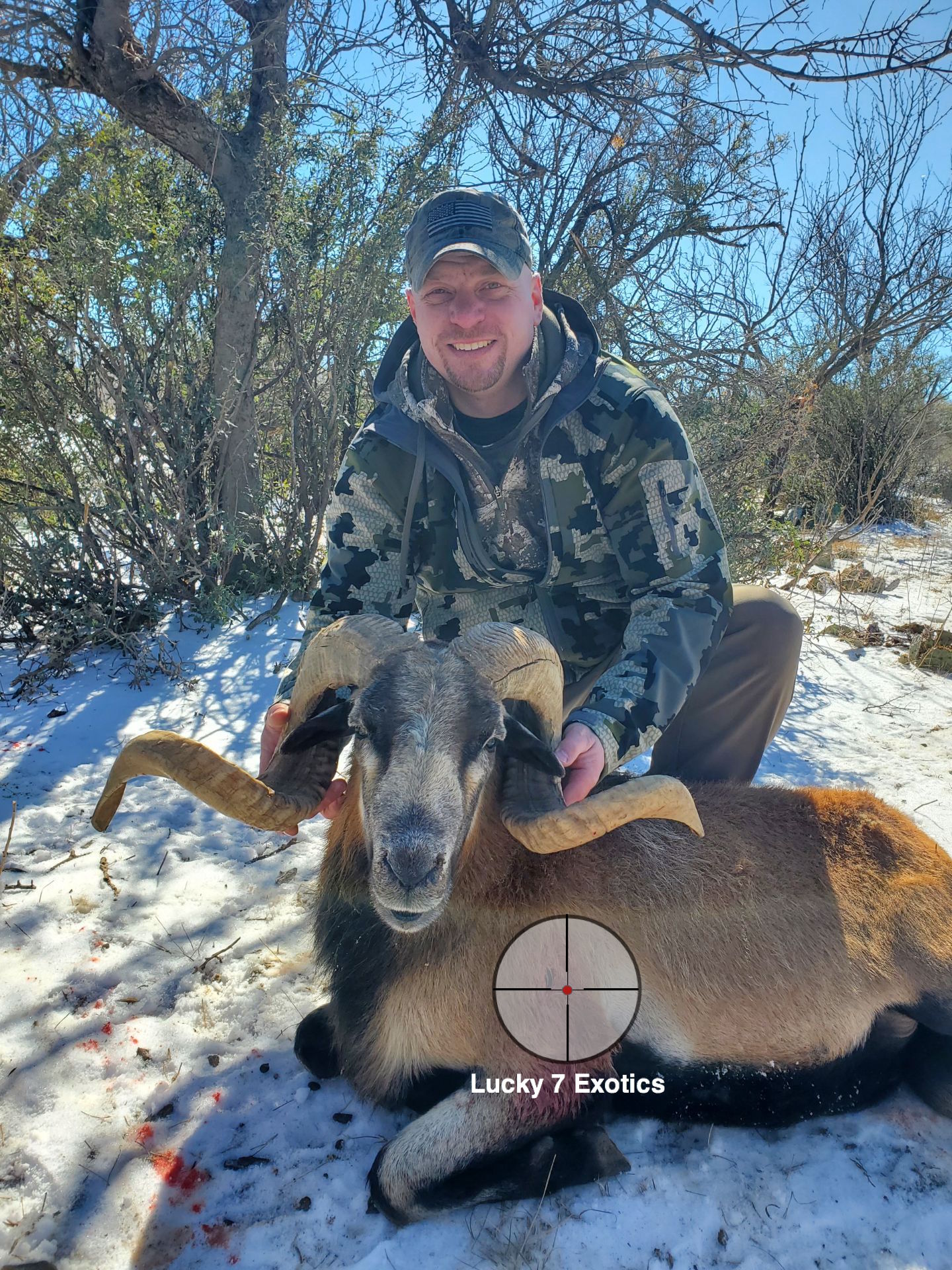 Trophy Ram Hunts Texas