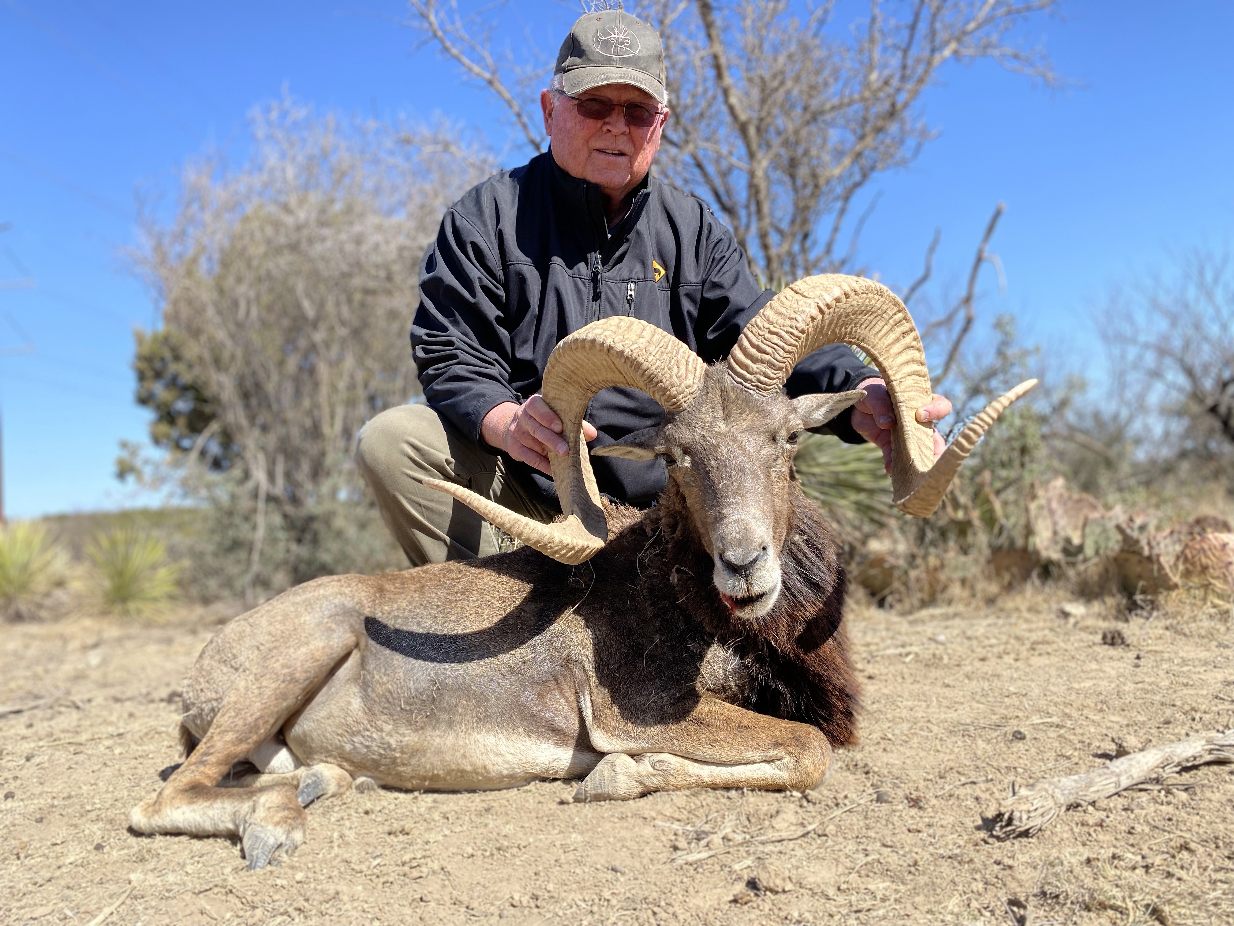 Trophy Ram Hunts Texas