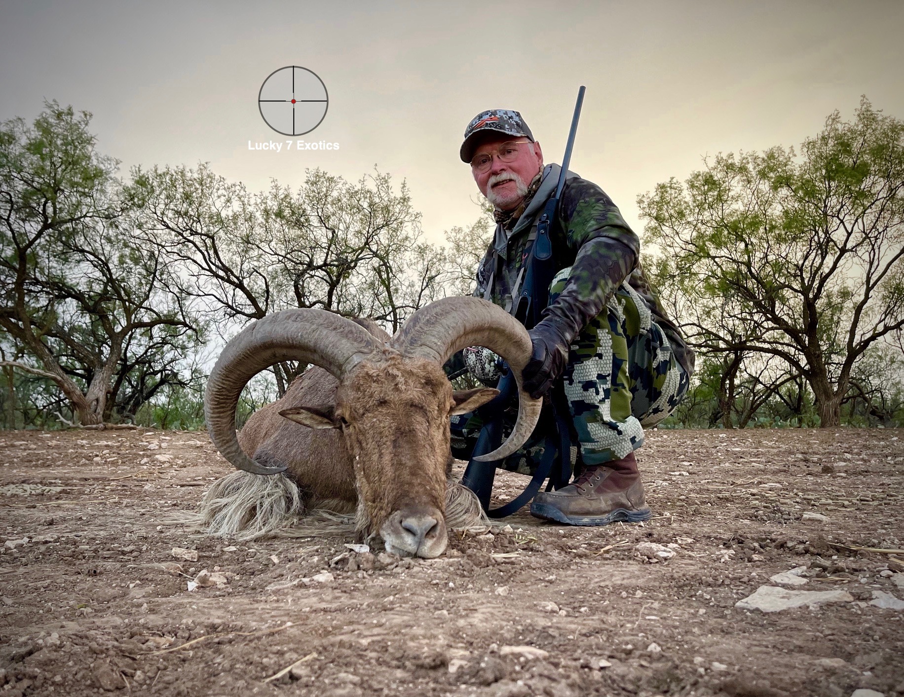 A. Hunted adult harpy in rural Cacoal. Photo: anonymous. B. Hunted