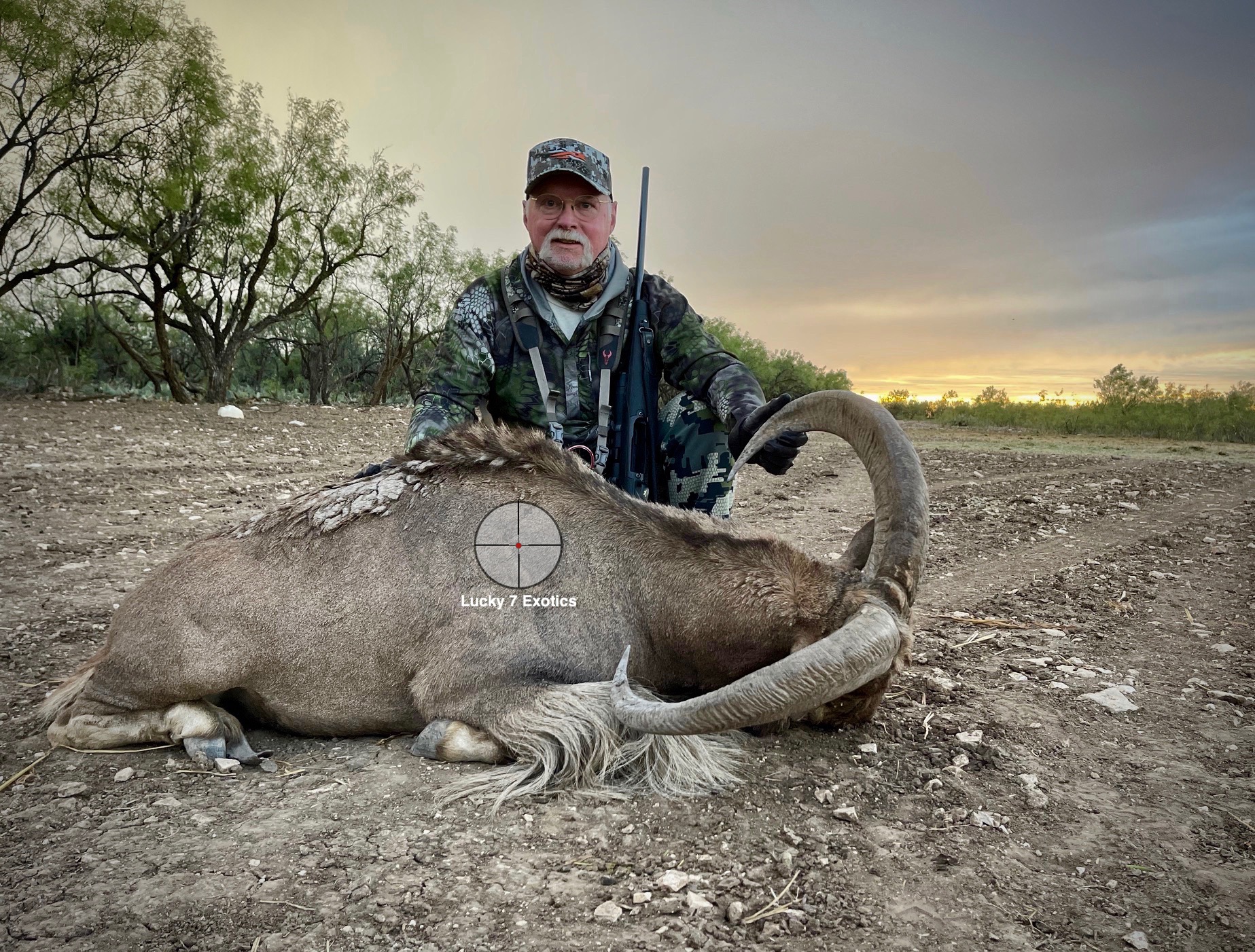 Aoudad Hunts