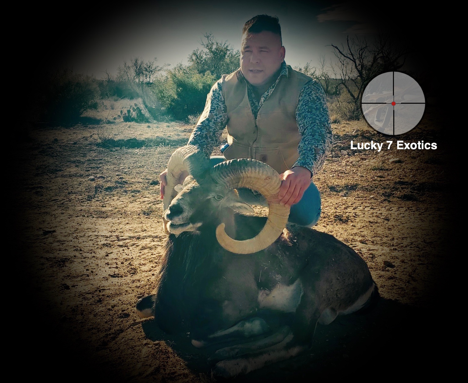 Trophy Ram Hunts Texas