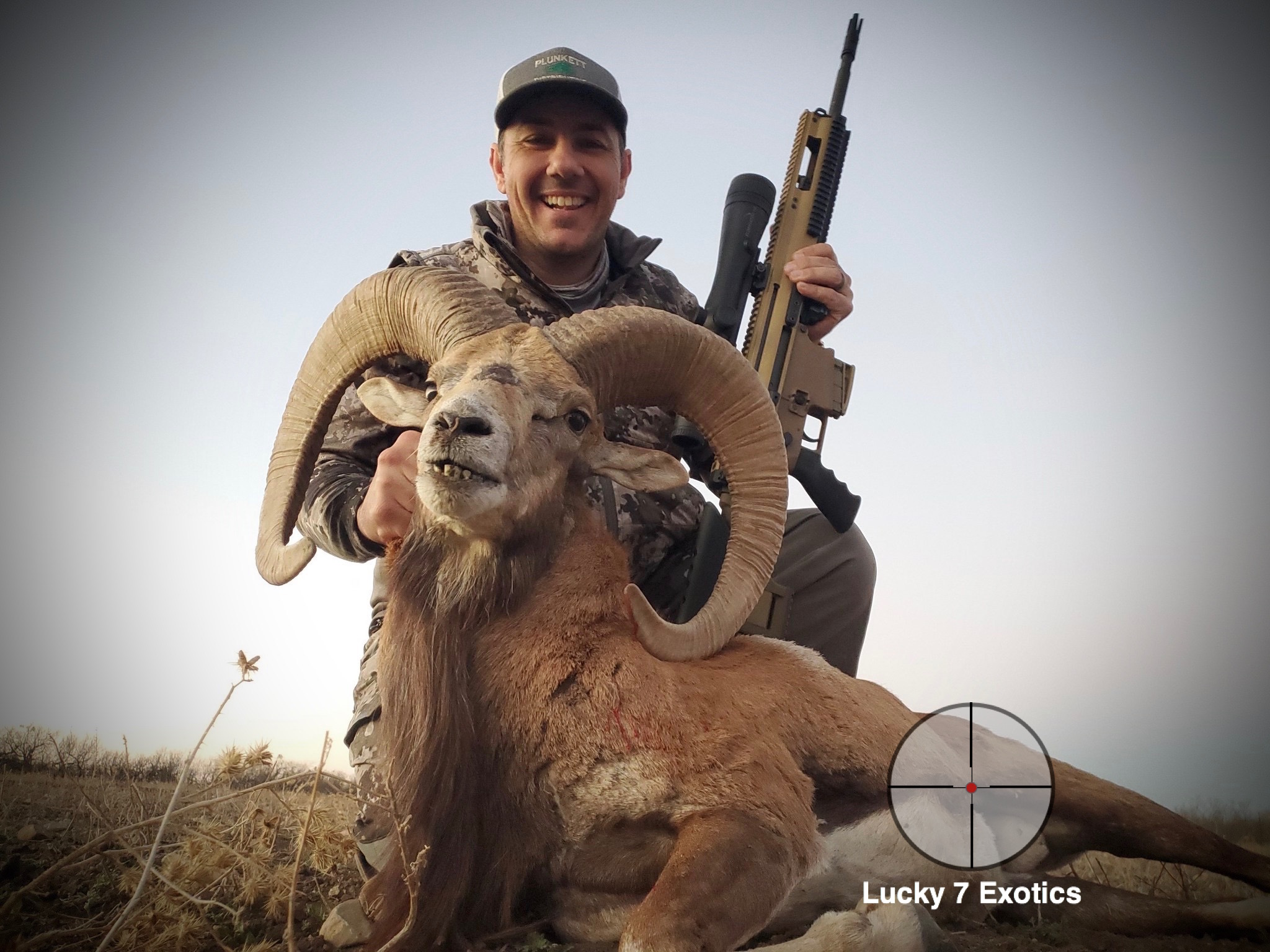 Trophy Ram Hunts Texas