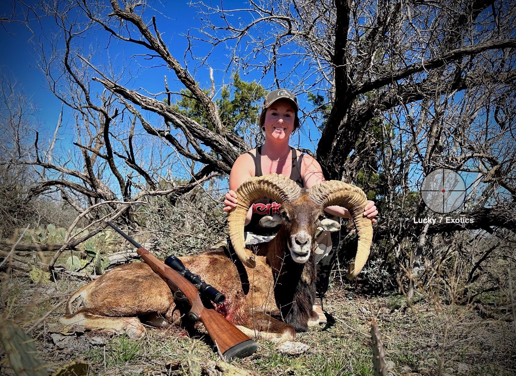 Trophy Ram Hunts Texas