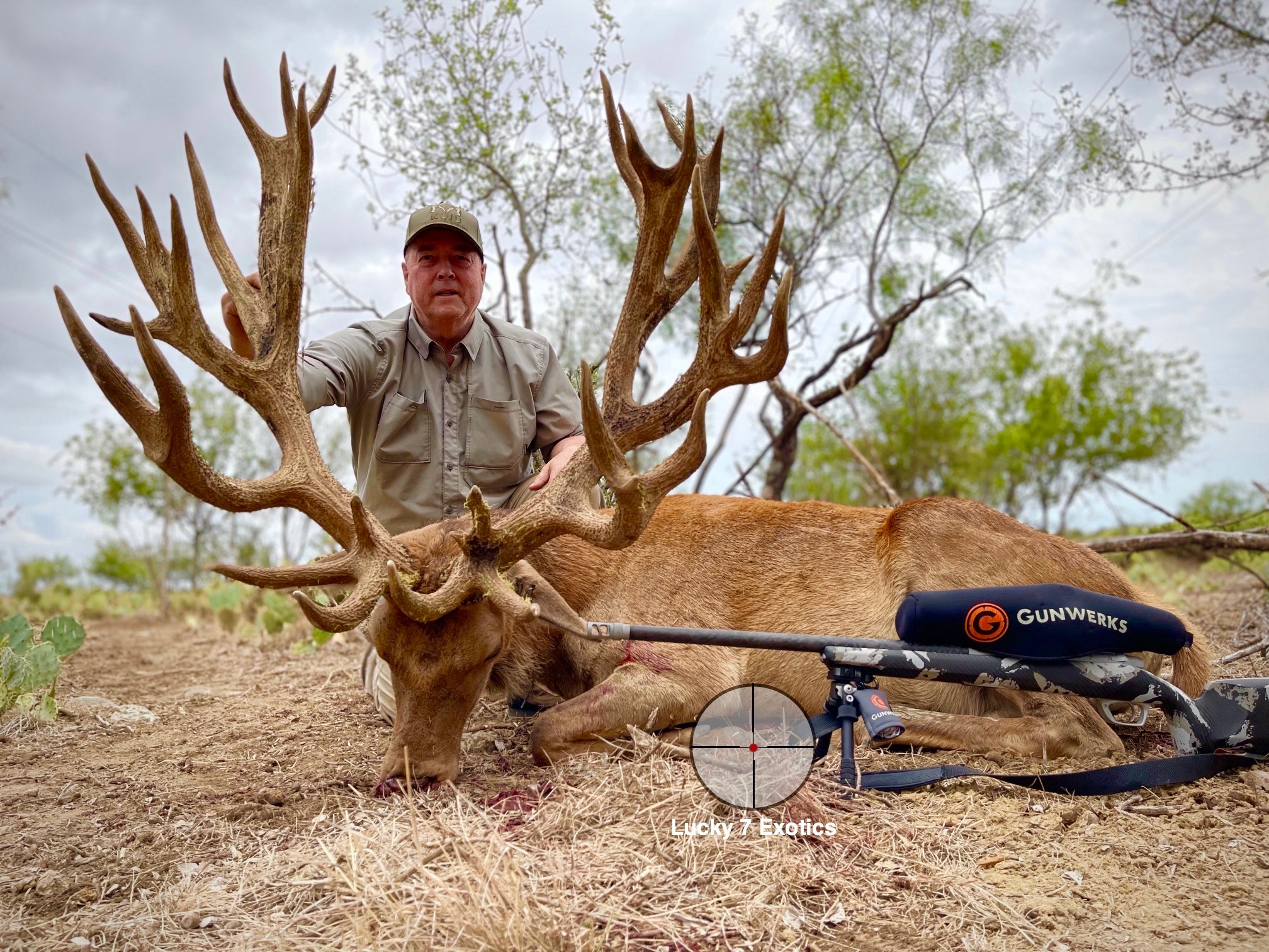 Red Stag Hunts Lucky Exotic Ranch Texas Best