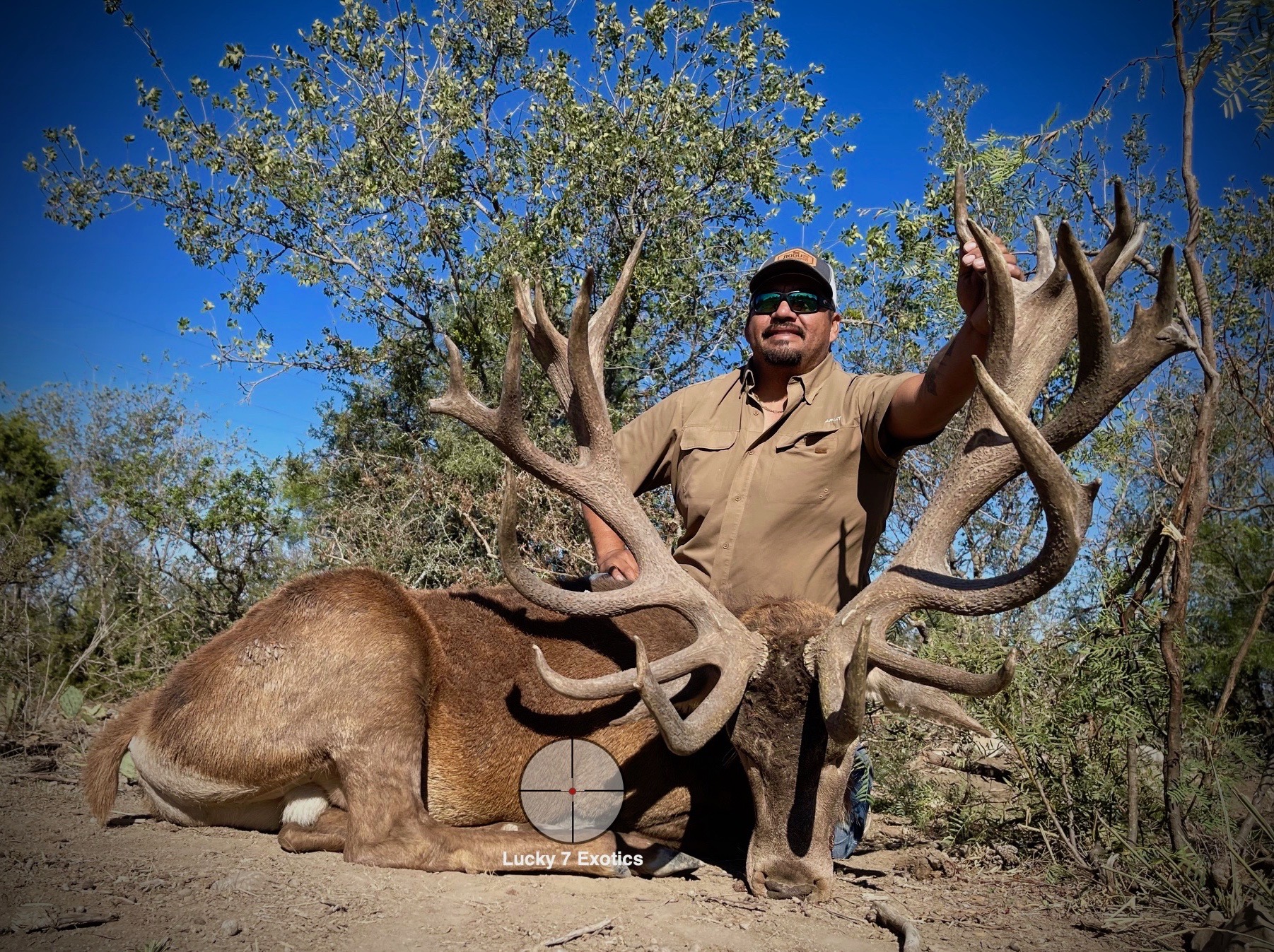 Red Stag Hunts, Lucky 7 Exotic Ranch